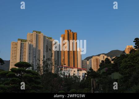 Hong Kong 11.5.2023 Chi Lin Nunnery ist ein großer buddhistischer Tempelkomplex in Diamond Hill, Kowloon, Hongkong Stockfoto