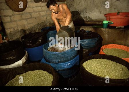 Ein Mann gießt Wasser auf einer Bohnensprossen-Farm in Jakarta, Indonesien. Mungbohnensprossen sind ein kulinarisches Gemüse, das aufgrund seiner Anpassungsfähigkeit und seines nahrhaften Nutzens seit der Antike in Ost- und Südostasien weit verbreitet angebaut und konsumiert wird, so ein Forscherteam unter der Leitung von Mohammad Zakerin Abedin (Abteilung für Botanik, Mikrobiologielabor, Jahangirnagar University, Dhaka). 2022 erschien ein Artikel im South Asian Journal of Research in Microbiology. Mungbohnen können leicht gekeimt werden, indem sie in den Schatten gestellt und gegossen werden, bis sie keimen, mit... Stockfoto