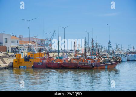 Mar del Plata, Argentinien - 15. Januar 2024: Fischerboote im Hafen von Mar del Plata, Buenos Aires. Stockfoto