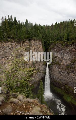 Die Spahats Creek Falls sind ein spektakulärer Wasserfall, der etwa 60 Meter über einem vulkanischen Felsenrand im Wells Gray Provincial Park in British Columbia fällt Stockfoto