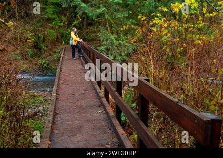 Wanderer-Brücke auf Drift Creek Falls Trail, Siuslaw National Forest, Oregon Stockfoto