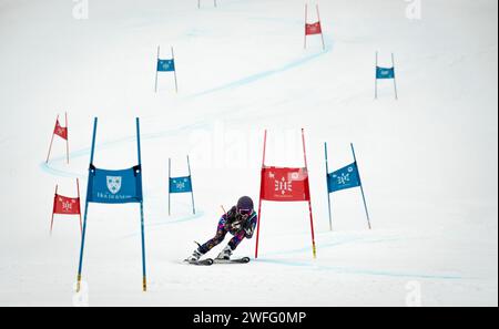 U18-Skirennläuferin auf dem Riesenslalomkurs bei einem Rennen im Macomber Cup 2024 im Franconia Ski Club am Cannon Mountain in Franconia, New Hampshire. Stockfoto