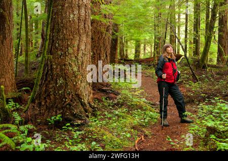 Harris Ranch Trail, Drift Creek Wilderness Siuslaw National Forest, Oregon Stockfoto