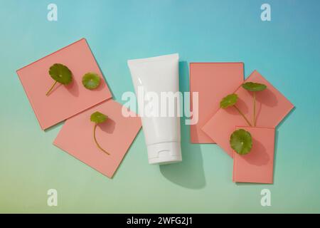 Mehrere Acrylblätter in rosafarbener Farbe werden auf blauem Hintergrund angezeigt. Ein Röhrchen mit leerem Etikett für das Produkt, das aus Gotu kola (Centella A Stockfoto