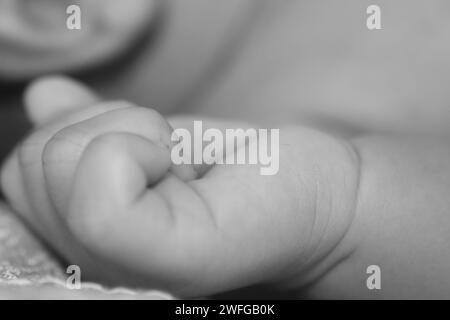 Eine Großaufnahme der Hand eines Neugeborenen in Graustufen Stockfoto