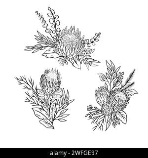 Einfarbige tropische protea-Blumen und Blätter-Bouquets Stock Vektor
