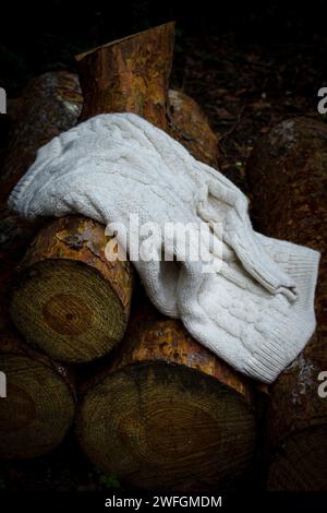 Weißer Strickpullover aus Wolle an gefällten Bäumen Stockfoto