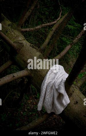 Weißer Strickpullover aus Wolle an gefällten Bäumen Stockfoto