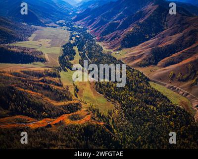 Atemberaubende Luftaufnahme mit Herbstlaub in den Altai-Bergen mit Fluss-, Tal- und Waldlandschaften. Stockfoto