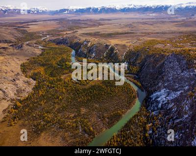 Atemberaubende Luftaufnahme des Flusses Katun in Altai, Russland, mit Herbstfarben und rauem Gelände. Stockfoto