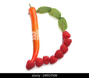 Buchstabe D aus grünem Salat, Himbeere, Chili-Paprika alphabetische ABC-Großbuchstaben aus Chili, Pfeffer, d für Text, Enzyklopädie, Kochbuch, Menü Stockfoto