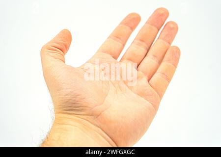 Kleine Kinderhand, die einige wie eine leere Karte auf weißem Hintergrund hält. Hände des Mannes, Gesten, Zeichen, zeigen, halten, Signalisierung, Faust, Vize Stockfoto
