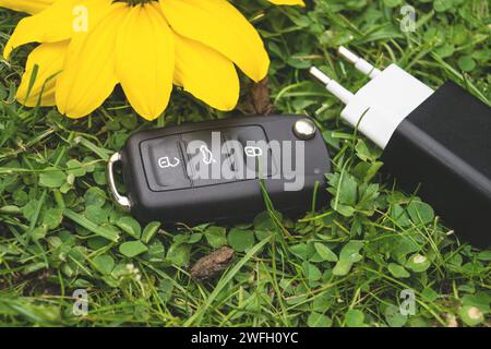 Autoschlüssel, Kröte, Netzstecker und gelbe Blume auf einer Wiese, Symbol für E-Mobilität Stockfoto