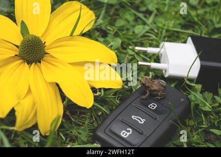 Autoschlüssel, Kröte, Netzstecker und gelbe Blume auf einer Wiese, Symbol für E-Mobilität Stockfoto