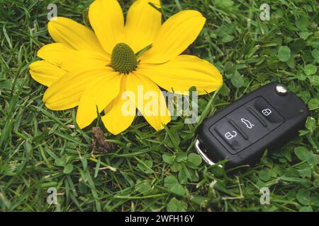 Autoschlüssel, Kröte und gelbe Blume auf einer Wiese, Symbol für E-Mobilität Stockfoto