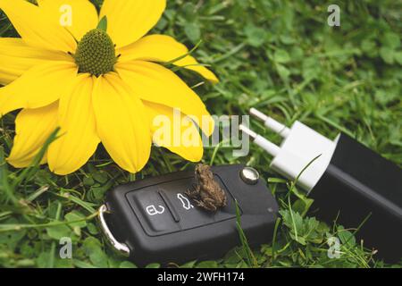 Autoschlüssel, Kröte, Netzstecker und gelbe Blume auf einer Wiese, Symbol für E-Mobilität Stockfoto