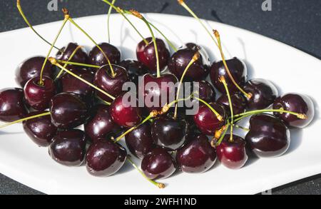 Kirschbaum, Süßkirsche (Prunus avium), Süßkirschen auf einem Teller Stockfoto