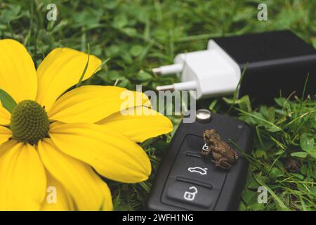 Autoschlüssel, Kröte, Netzstecker und gelbe Blume auf einer Wiese, Symbol für E-Mobilität Stockfoto