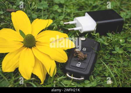 Autoschlüssel, Kröte, Netzstecker und gelbe Blume auf einer Wiese, Symbol für E-Mobilität Stockfoto