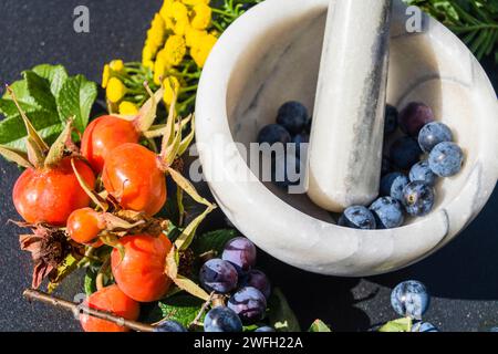 Herbstdekoration mit Moerser, Blumen, Hagebutten und Schlemmerfrüchten Stockfoto