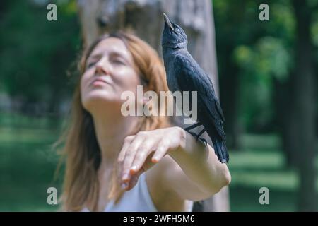 Jackdaw-Vogel und junge Frau, die nach oben schauen Stockfoto