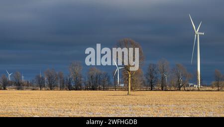 Windturbinen im Winter auf Wolfe Island, Ontario, Kanada Stockfoto