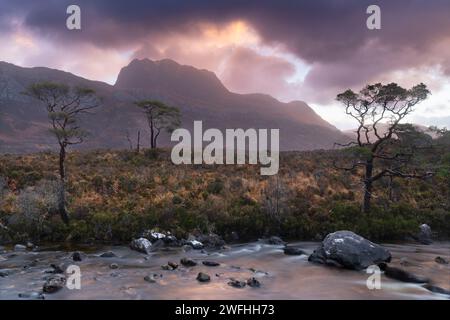 Torridonian Scots Pines am Ufer des Flusses Grudie, mit Slioch im Hintergrund. Loch Maree, Torridon, Wester Ross, Highlands, Schottland, UK Stockfoto