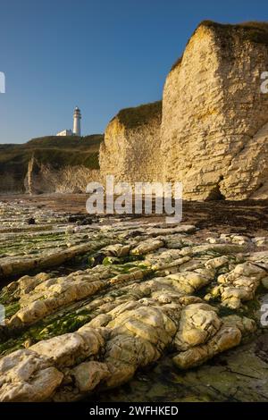 Blick auf die Klippen und den Leuchtturm am Flamborough Head von Selwick Bay, East Yorkshire, Großbritannien Stockfoto