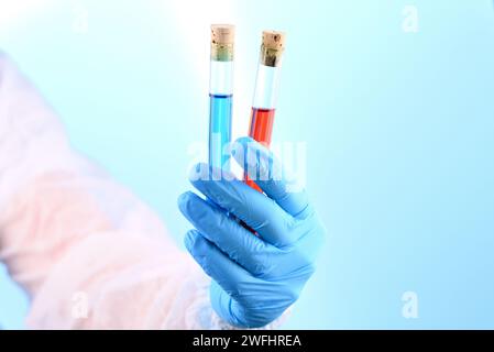 Chemische Laborpräparation in Form von blauer und roter Flüssigkeit im Reagenzglas. Stockfoto