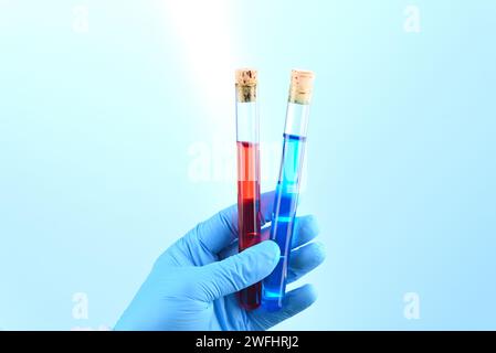 Chemische Laborpräparation in Form von blauer und roter Flüssigkeit im Reagenzglas. Stockfoto