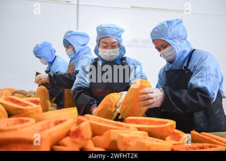 (240131) -- WUHAN, 31. Januar 2024 (Xinhua) -- Mitarbeiter verarbeiten Gemüse in einer Eisenbahnverpflegungsbasis in Wuhan, Zentralchinas Provinz Hubei, 30. Januar 2024. Ausgestattet mit einer modernen Produktionslinie für verpackte Mahlzeiten, hat die Bahnverpflegungsbasis unter der Leitung der China Railway Wuhan Bureau Group Co., Ltd. Die Lieferung von verpackten Mahlzeiten für Hochgeschwindigkeitszüge übernommen Während des diesjährigen Frühlingsfests, der am 26. Januar begann, hat die China Railway Wuhan Bureau Group Co., Ltd. Vier neue Gerichte mit lokalen Aromen von Wuhan eingeführt. Die verpackten Mahlzeiten mit lokalen Köstlichkeiten werden sein Stockfoto