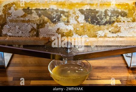 Wabenaufsatz in einer Glasschale. Nahaufnahme von Honig. Gesund organisch Stockfoto