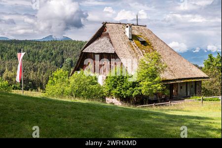 Der alte Maso Plattner (typisch Tiroler Bauernhof), Standort des Bienenmuseums, Costalovara, Gemeinde Ritten, Südtirol. Trentino Südtirol, Norden Stockfoto