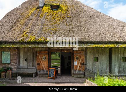 Eingang zum alten Maso Plattner (typisch Tiroler Bauernhof), Ort des Bienenmuseums, Costalovara, Gemeinde Ritten, Südtirol. Trentino Alto Ad Stockfoto