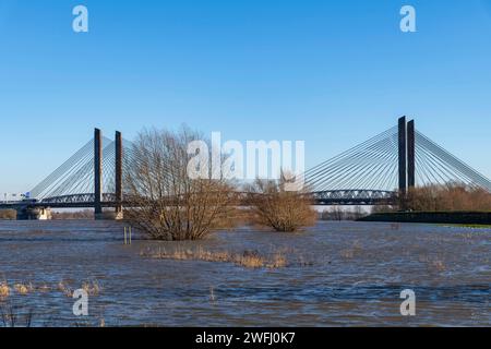 Hohe Wasserstände überschwemmen die Auen entlang des Maas-Flusses mit Bäumen unter Wasser und die Martinus-Nijhoff-Brücke in der Nähe von Zaltbommel, Niederlande in b Stockfoto