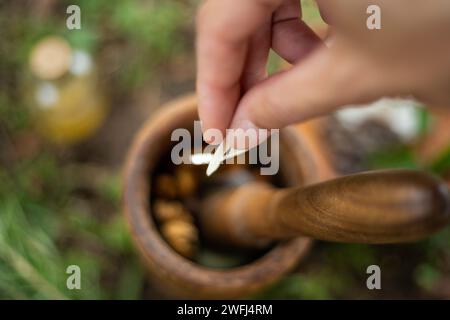 Handmischung natürlicher Zutaten in Holzmörtel auf grünem Hintergrund. Stockfoto