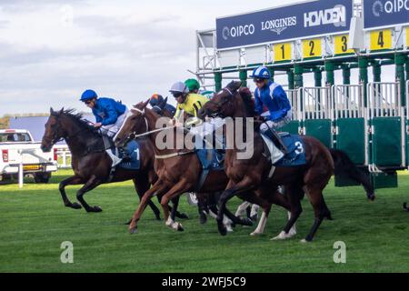 Ascot, Berkshire, Großbritannien. Oktober 2023. Die Fahrer im Troy Asset Management Noel Murless Stakes auf der Ascot Racecourse beim Herbstrennen Friday Meeting. Kredit: Maureen McLean/Alamy Stockfoto