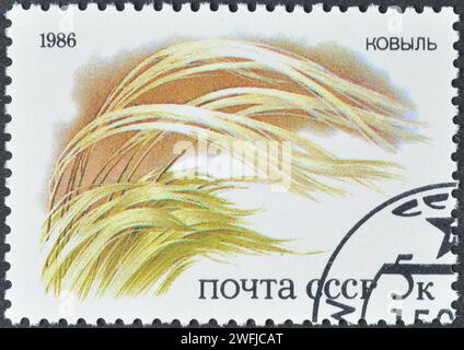 Gestempelte Briefmarke, gedruckt von der Sowjetunion, auf der Federgras, geschützte Flora der russischen Steppen, um 1986 zu sehen ist. Stockfoto