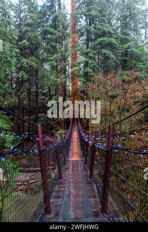 Ein von Lichtern gesäumter Holzweg führt zum größten Baum im Regenwald - Capilano, British Columbia Stockfoto