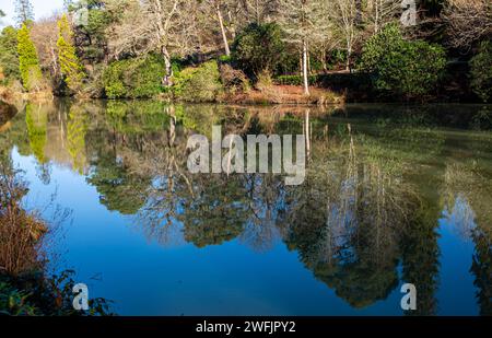 Reflexionen in Leonardslee Gardens und Skulpturenpark in Lower Beeding bei Horsham, West Sussex, England, Großbritannien Stockfoto