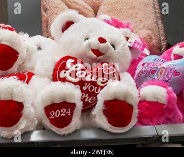 Valentinstag 2024, Teddy Bears zum Verkauf in einem lokalen Geschäft in Nord-Florida. Stockfoto