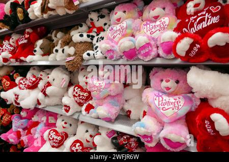 Valentinstag 2024, Teddy Bears zum Verkauf in einem lokalen Geschäft in Nord-Florida. Stockfoto