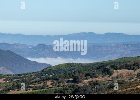 Blick auf die Berge und den Nebel im San Diego County, Kalifornien Stockfoto