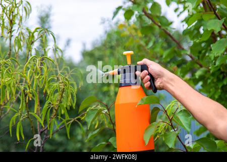 Ein Mann sprüht Bäume im Garten. Selektiver Fokus. Natur. Stockfoto