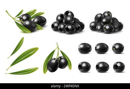 Realistische schwarze Oliven, isolierter Olivenzweig mit Blättern. Isolierte Vektorbeeren, natürliches Gemüse, gesunde Lebensmittel. Reife Pflanze auf dem Stiel mit Laub, Öko-Produktion, Zutat für Öl, Salate Mahlzeiten Stock Vektor