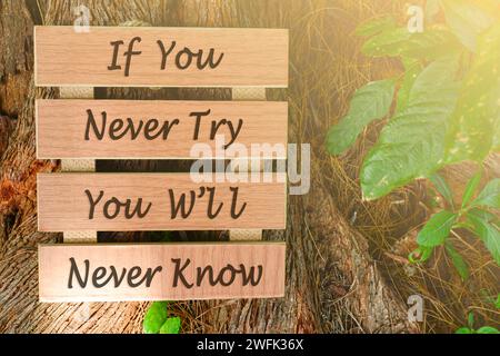 Motivierendes und inspirierendes Zitat auf Holzrahmen – wenn Sie es nie versuchen, werden Sie es nie erfahren. Stockfoto