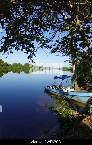 Das Cuero Y Salado Wildlife Refuge erreichte mit einem 15-minütigen Burra einen kleinen offenen Eisenbahnwagen in der Nähe von Ceiba, Honduras, Zentralamerika Stockfoto