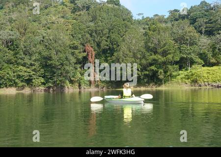 Laguna Yure, Reservoir in der Nähe der Panacam Lodge, Cerro Azul Nationalpark, Honduras, Zentralamerika Stockfoto