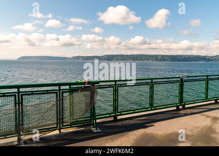 Whidbey Island befindet sich am Horizont dieses horizontalen Fotos, aufgenommen von einem Boot der Washington State Ferry, mit einem grünen Geländer, das den Rahmen teilt. Stockfoto