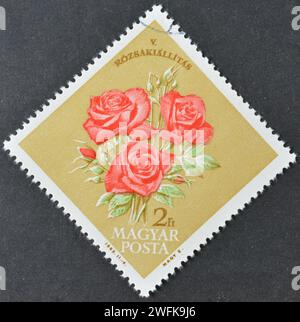 Gestempelte Briefmarke von Ungarn, die Roses zeigt, 5. Ungarische Rosenausstellung, um 1963. Stockfoto